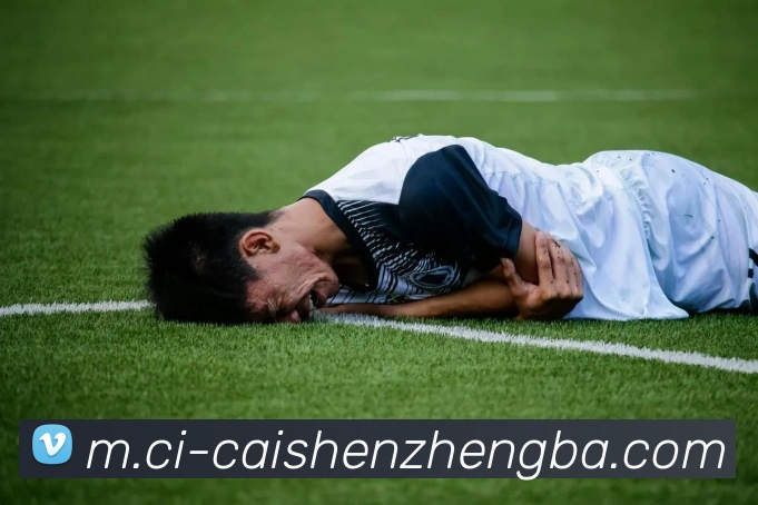 彩神争霸平台生态图